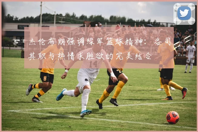杰伦布朗强调绿军篮球精神：各司其职与热情求胜欲的完美结合