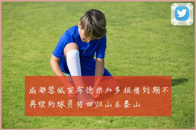 成都蓉城宣布德尔加多租借到期不再续约球员将回归山东泰山