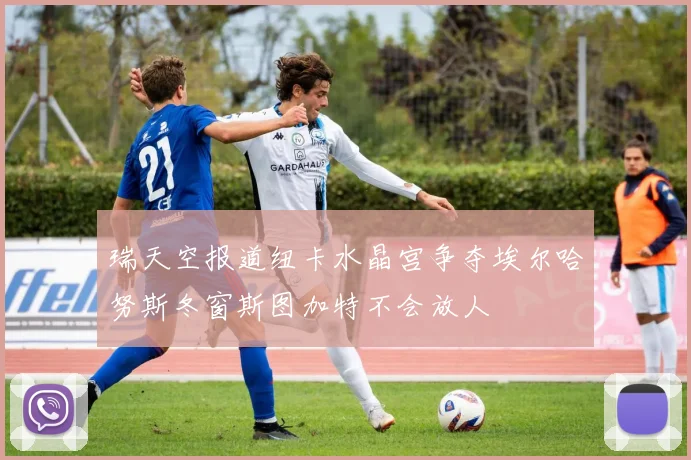 瑞天空报道纽卡水晶宫争夺埃尔哈努斯冬窗斯图加特不会放人