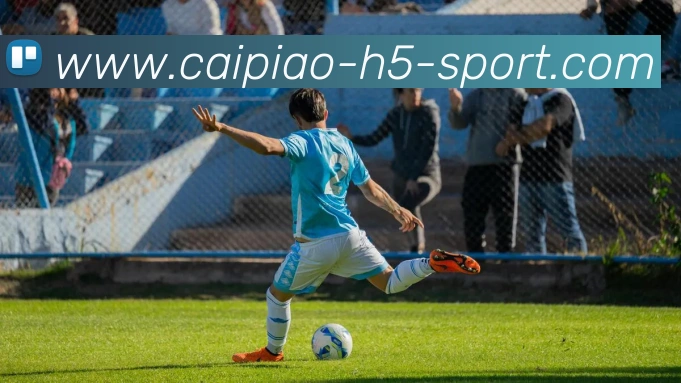 大发彩票平台生态图