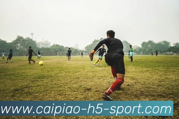 大发彩票APP 封面图